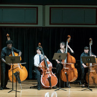 Chamber Music Competition - Master Players Festival