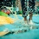 Wet Feet Week