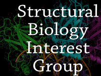 Structural Biology Interest Group