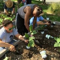 Garden Commons Fall Workdays