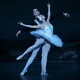 Moscow Festival Ballet: Swan Lake