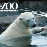 Volunteer at the Zoo with the Animal Welfare Committee