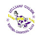 Winter Carnival Fireworks Extravaganza