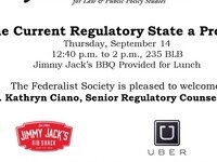 Is the Current Regulatory State a Problem?