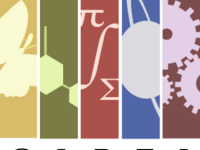Creating Assessments for the STEM Classroom