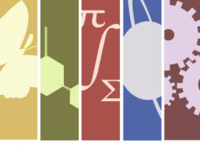 Diversity in the College Classroom