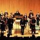 Chamber Orchestra Concert