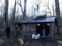 MapleFest MapleFest