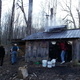 MapleFest