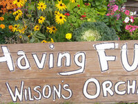 Omega Chi Fall Event: Wilson's Apple Orchard