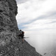 Glaciation, Extinction, and Microbes
