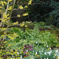 UD Botanic Gardens presents: Design Ideas and Plant Combinations for Winter Gardens