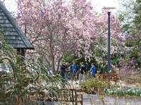 Guided Walk of UD Botanic Gardens Benefit Plant Sale Highlights Guided Walk of UD Botanic Gardens Benefit Plant Sale Highlights