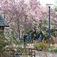 Guided Walk of UD Botanic Gardens Benefit Plant Sale Highlights