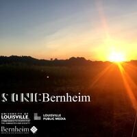 SONICBernheim/Frost Moon