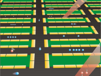 Quantum Information Processor Quantum Information Processor