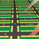 Quantum Information Processor