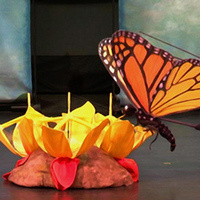 Arts on Stage: The Story of a Life Cycle