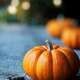 Pumpkin Pursuit