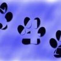 PAWS DEstress Session