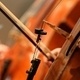 Cello Studio Recital with Students of Nathaniel Parke