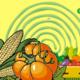 Trip to Stony Hill Farm