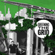 Greening the Grid: New York's Energy Future
