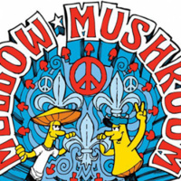 Fundraiser at Mellow Mushroom