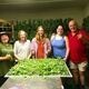 Class: Growing a Medicinal Tea Garden