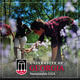 Sustainable UGA Semester in Review