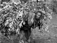 "Evolving Toward Awareness: A Journey to Activism", Lonnie Graham Visting Artist in Photography