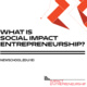 What is Impact Entrepreneurship at The New School?