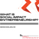 What is Impact Entrepreneurship at The New School?