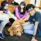 Bark Buddies at Gemmill Library