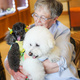 Bark Buddies at ES&M Library