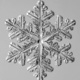FREE Museum Family Day: Patterns in Nature