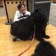 Newfoundland therapy dogs at Founders Library!