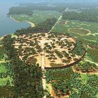 Garden Forests of the Amazon: Ancient Civilization and Modern Legacies