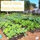 Half Century Club Lunch and Garden Tour