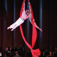 Boulder Phil: Cirque Goes to the Movies