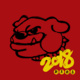Lunar New Year Celebration
