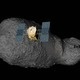 CU on the Weekend: The Wild Lives of Asteroids