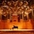 Chamber Choir & All-University Chorus