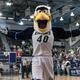 Women's Basketball vs. Louisiana