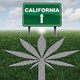The Essentials For Cannabis Businesses