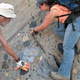 Life After Snowball: A New Record of Eukaryotes from the Neoproterozoic of Namibia