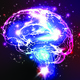 Saturday Physics Series Lecture, "Using physics to unlock the secrets of the brain with light, the fastest thing on earth!"