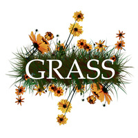 Reboot Meeting for Group Recycling And Sustainable Solutions (GRASS)