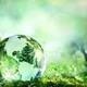 Eco-Engage: Eco and Social Entrepreneurship