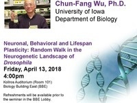 Neuronal, Behavioral and Lifespan Plasticity: Random Walk in the Neurogenetic Landscape of Drosophila